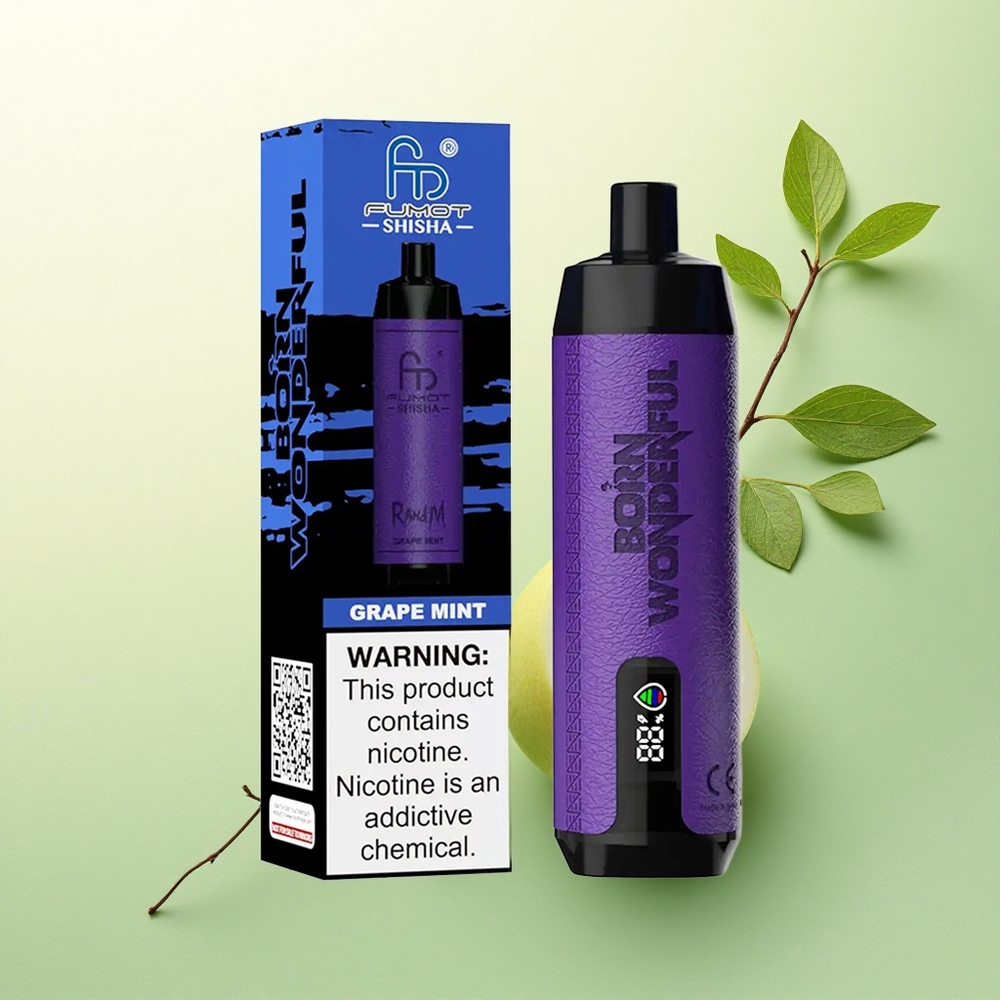 RandM Fumot Shisha 10000 Puffs Hortelã Uva com 0,5% Nicotina e Bateria 850 mAh