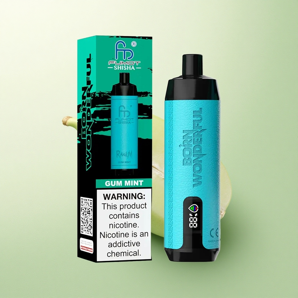 RandM Fumot Shisha 10000 Puffs Menta Chiclete Tipo-C 850mAh 0,5% Nicotina
