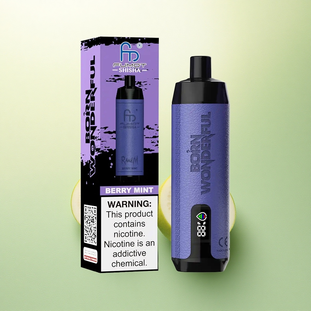 RandM Fumot Shisha 10000 Puffs Menta Silvestre com 0,5% Nicotina e 850 mAh
